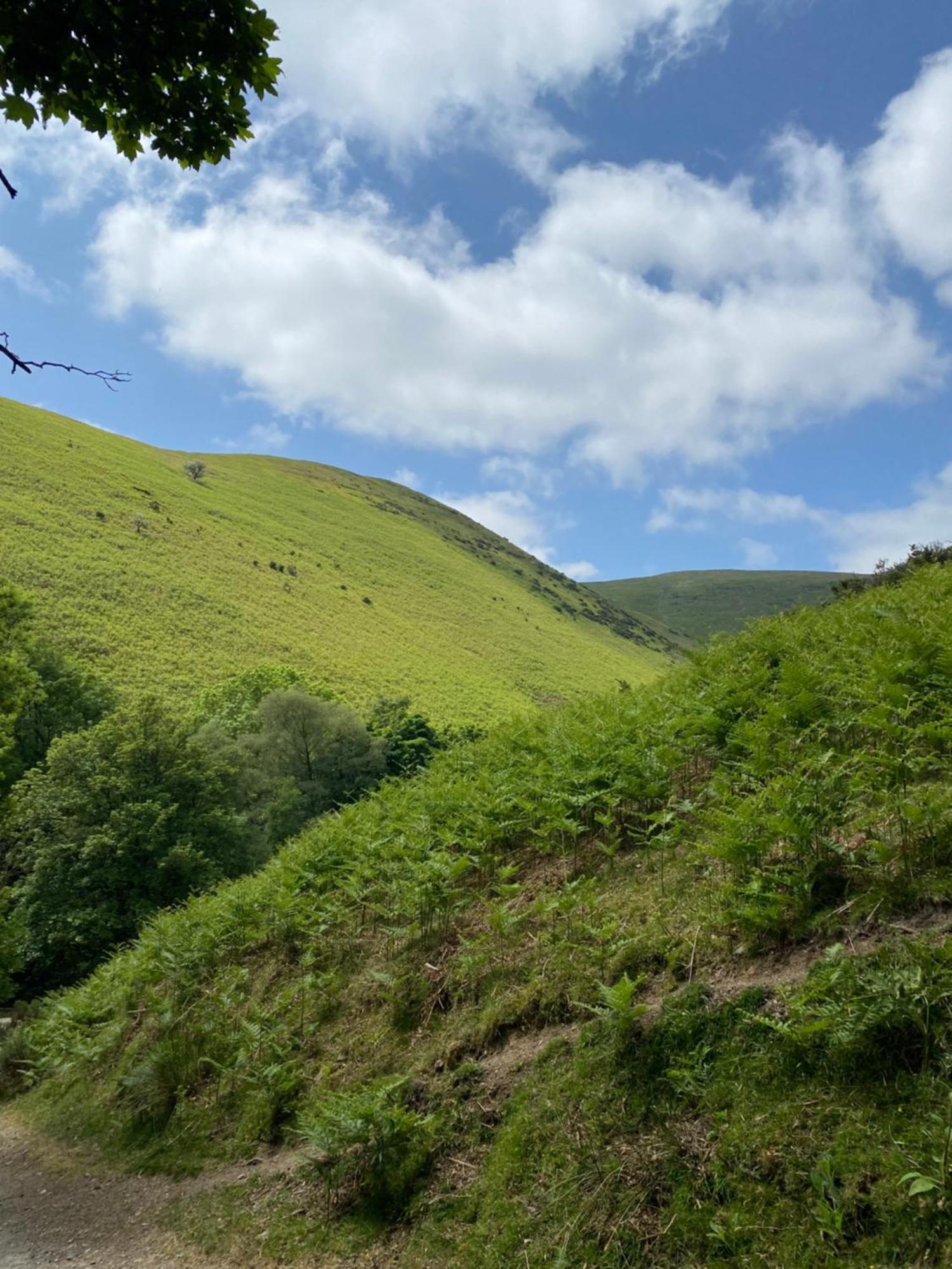 Pass The Keys Quaint 1 Bedroom Cottage In Church Stretton Exterior photo